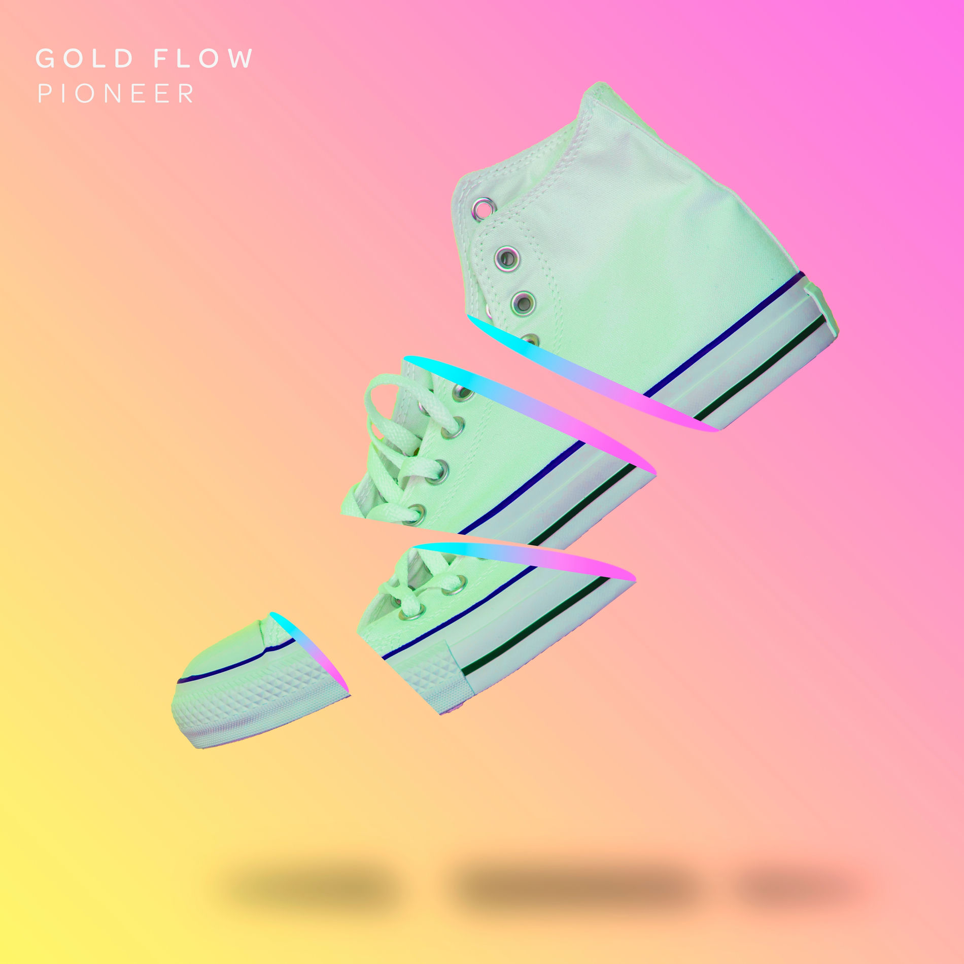 Album cover of Pioneer