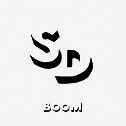 Cover of Boom