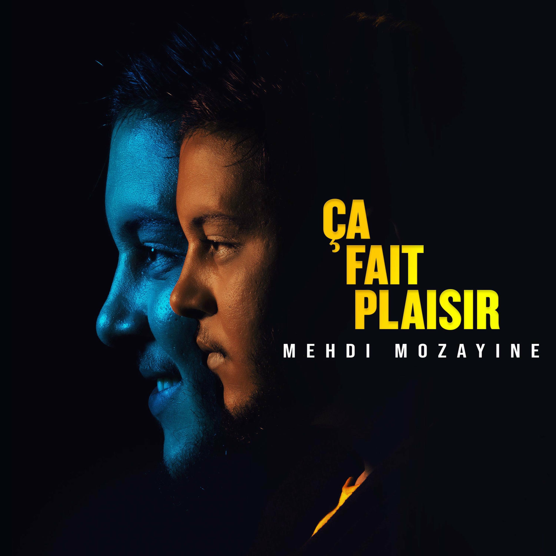 Album cover of Ça Fait Plaisir
