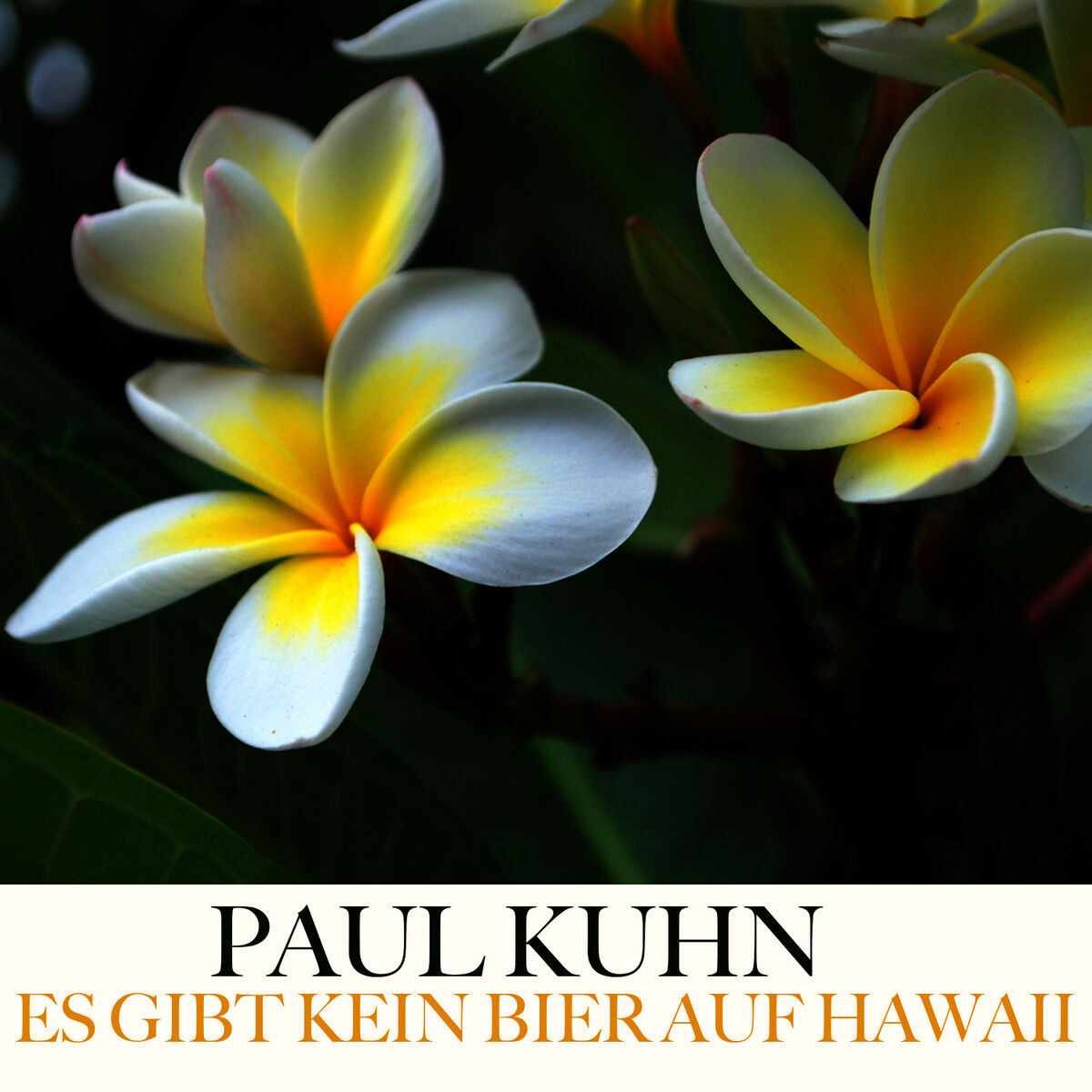 Album cover of Es Gibt Kein Bier Auf Hawaii