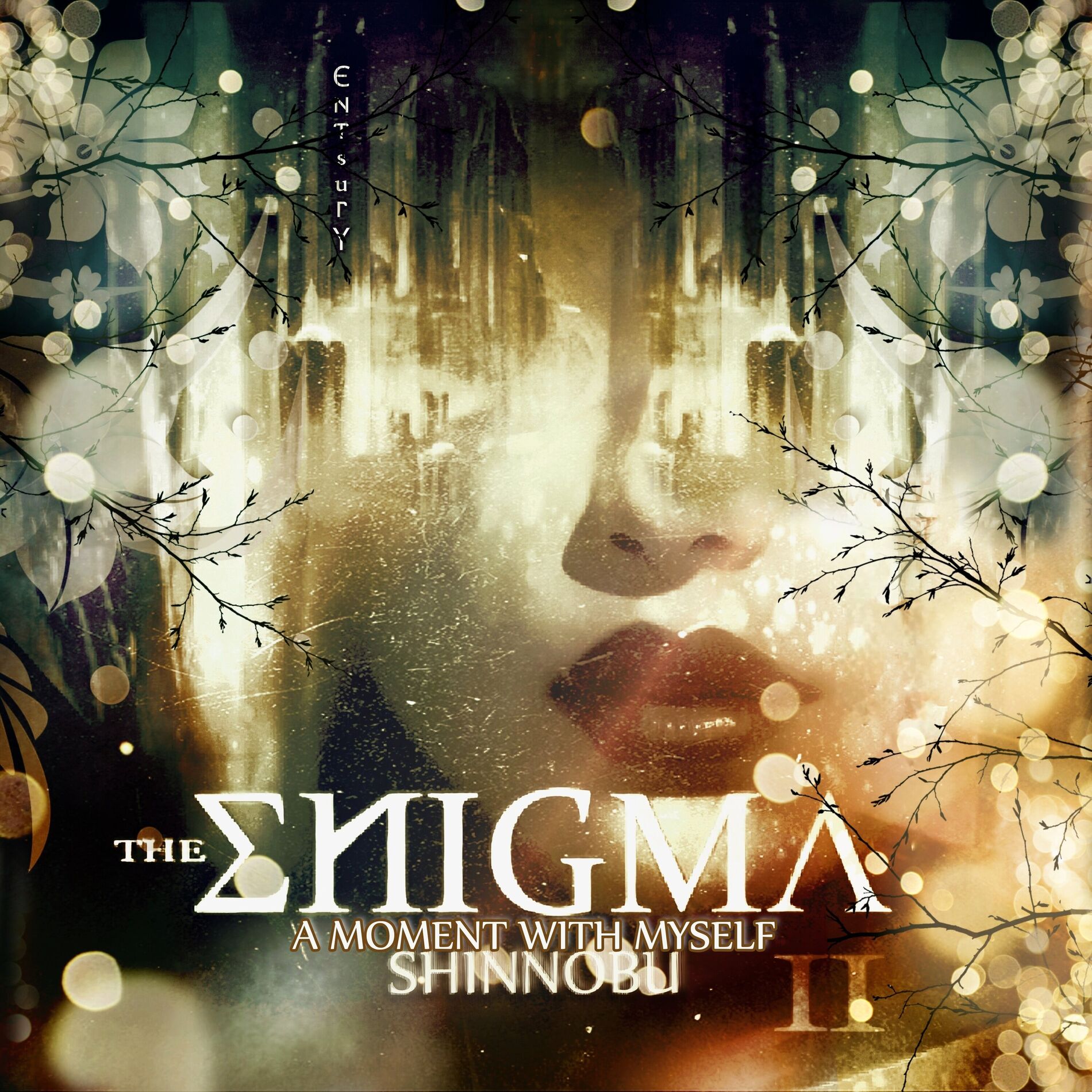 Album cover of The Enigma II (A Moment with Myself)
