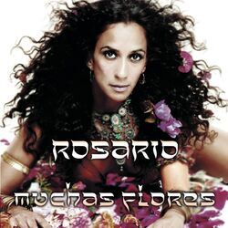 Cover of Muchas Flores
