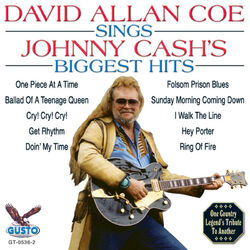 Cover of Sings Johnny Cash's Biggest Hits