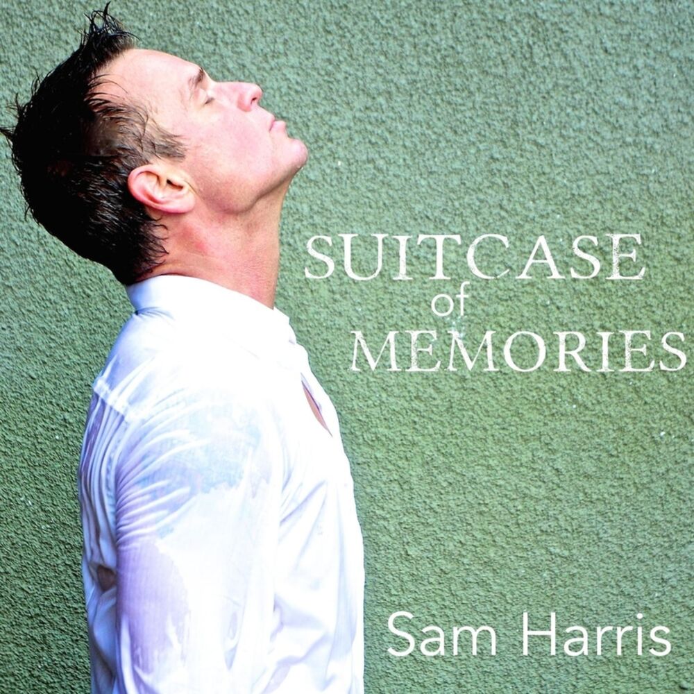 Picture of Suitcase of Memories