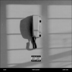 Cover of Keep Calling