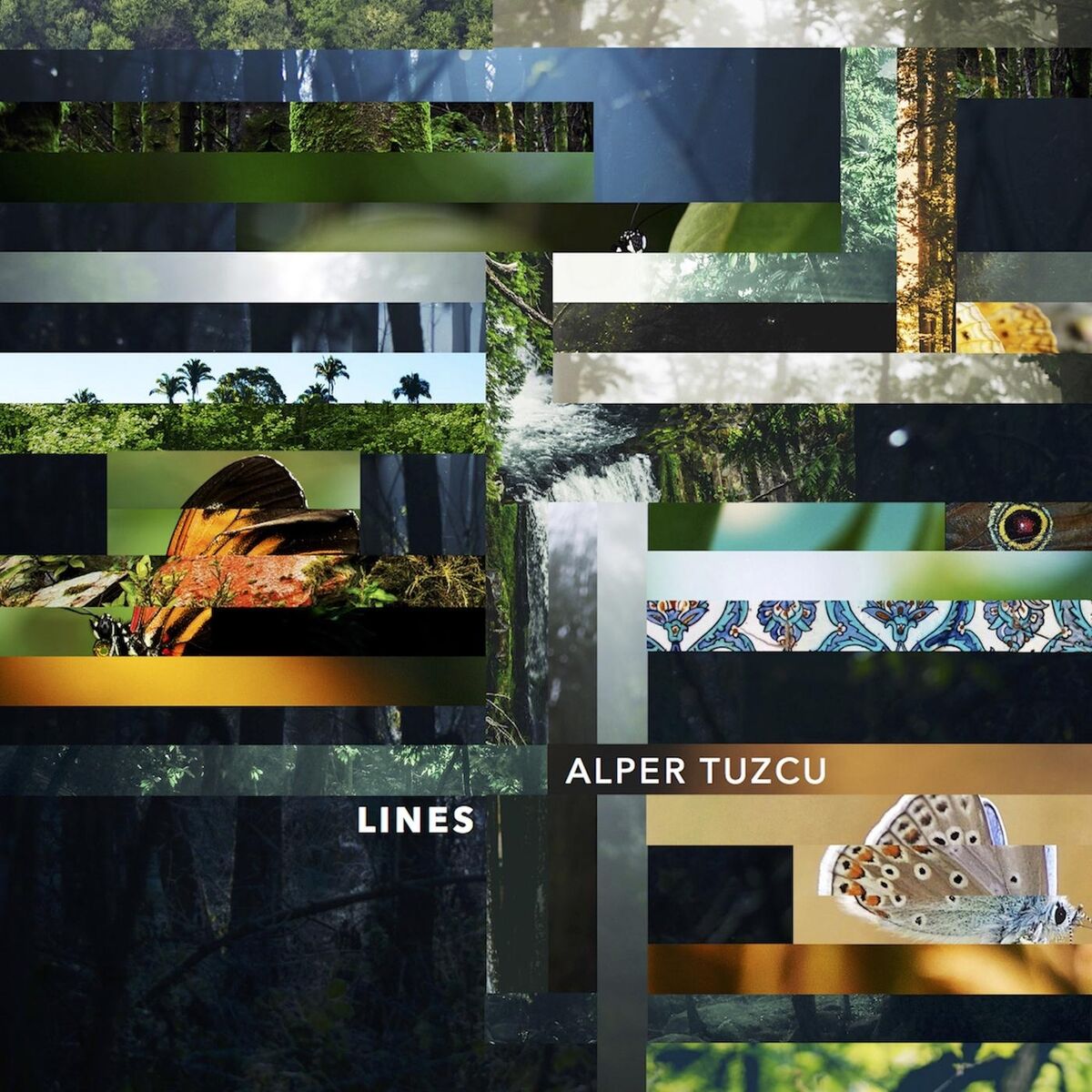 Album cover of Lines
