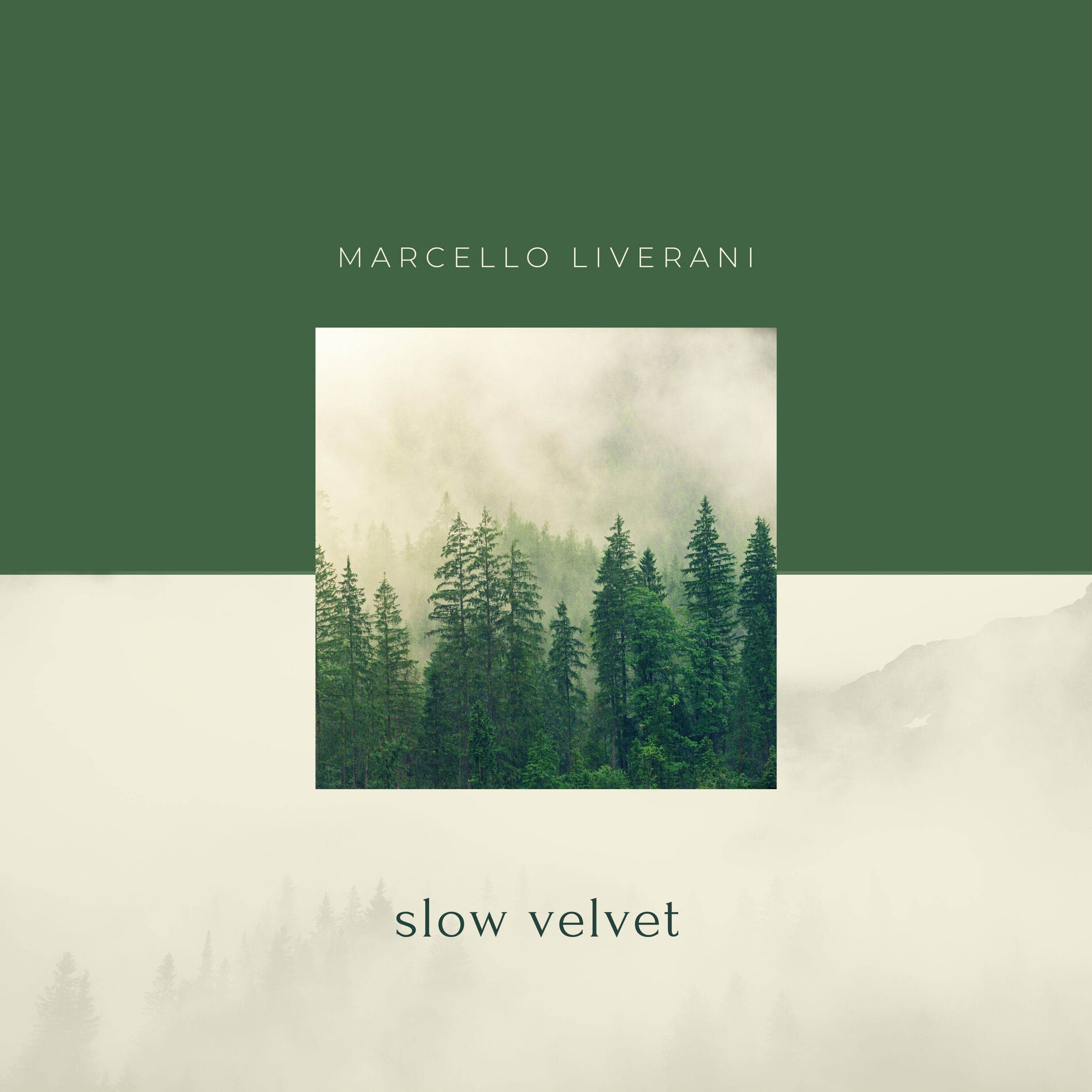 Album cover of Slow Velvet