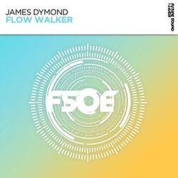 Cover of Flow Walker
