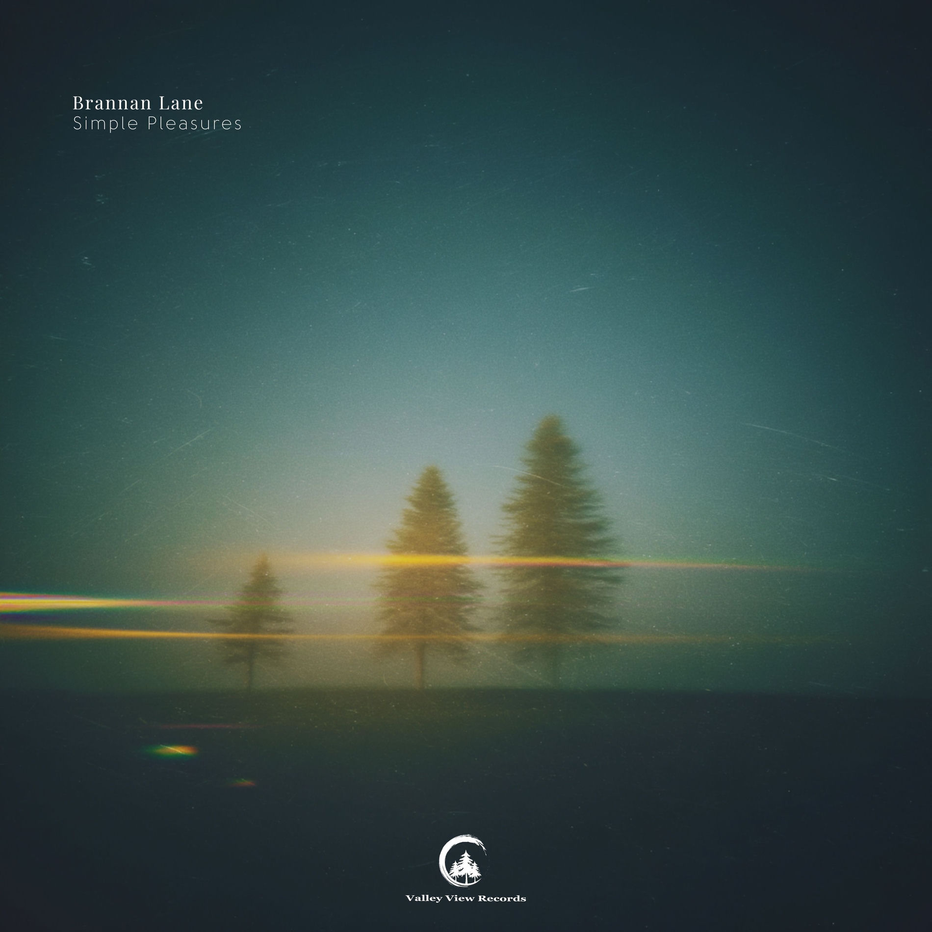 Album cover of Simple Pleasures