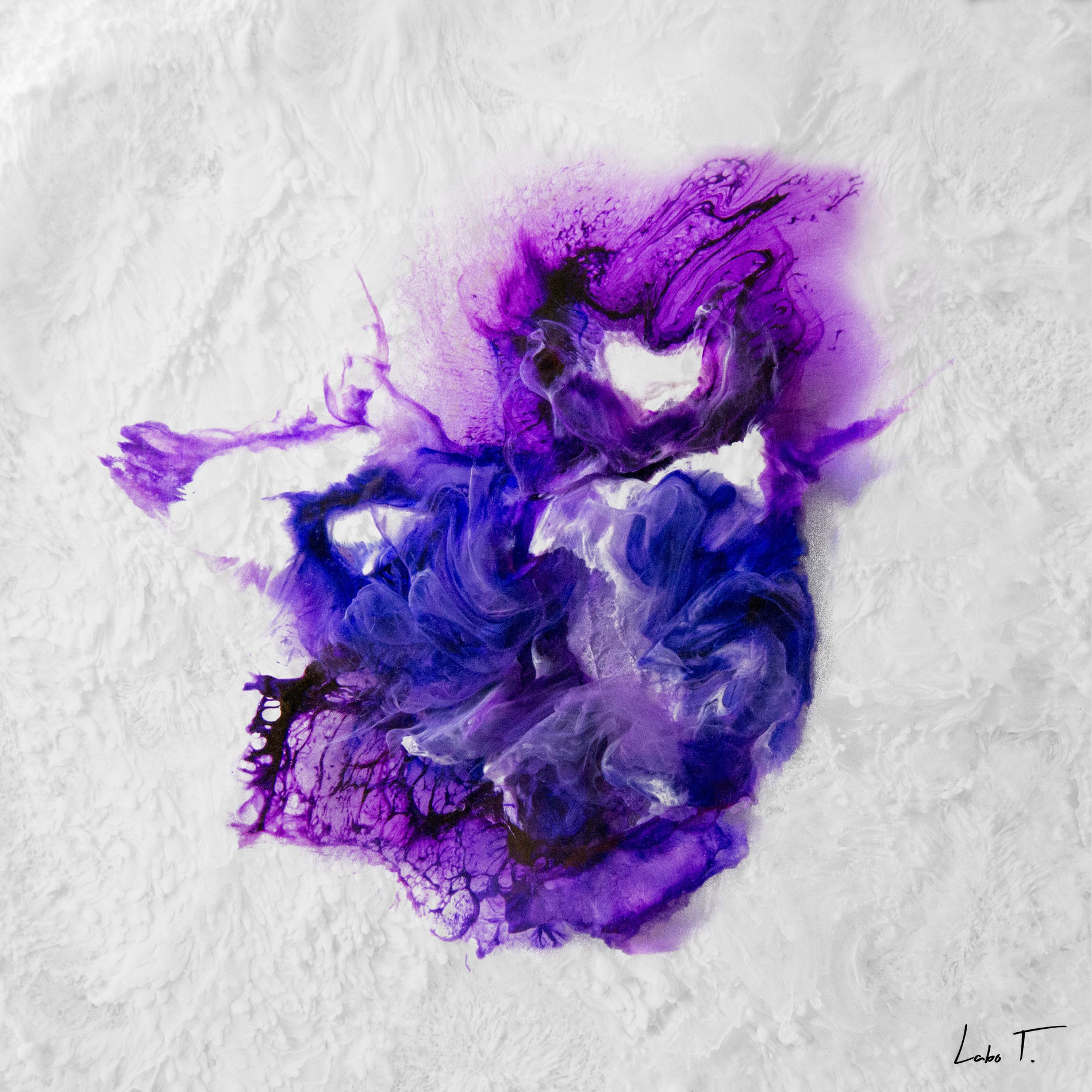 Album cover of Nasaja
