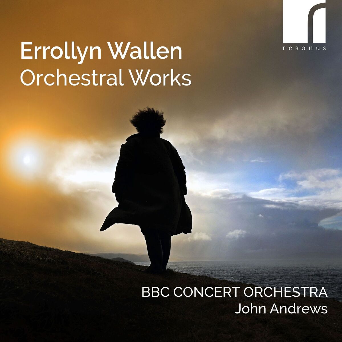 Album cover of Errollyn Wallen: Orchestral Works