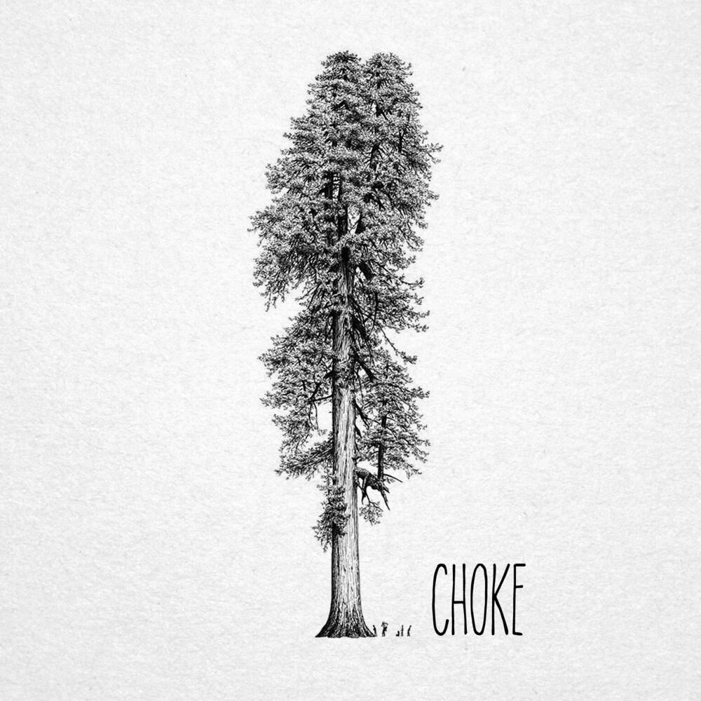 Picture of Choke