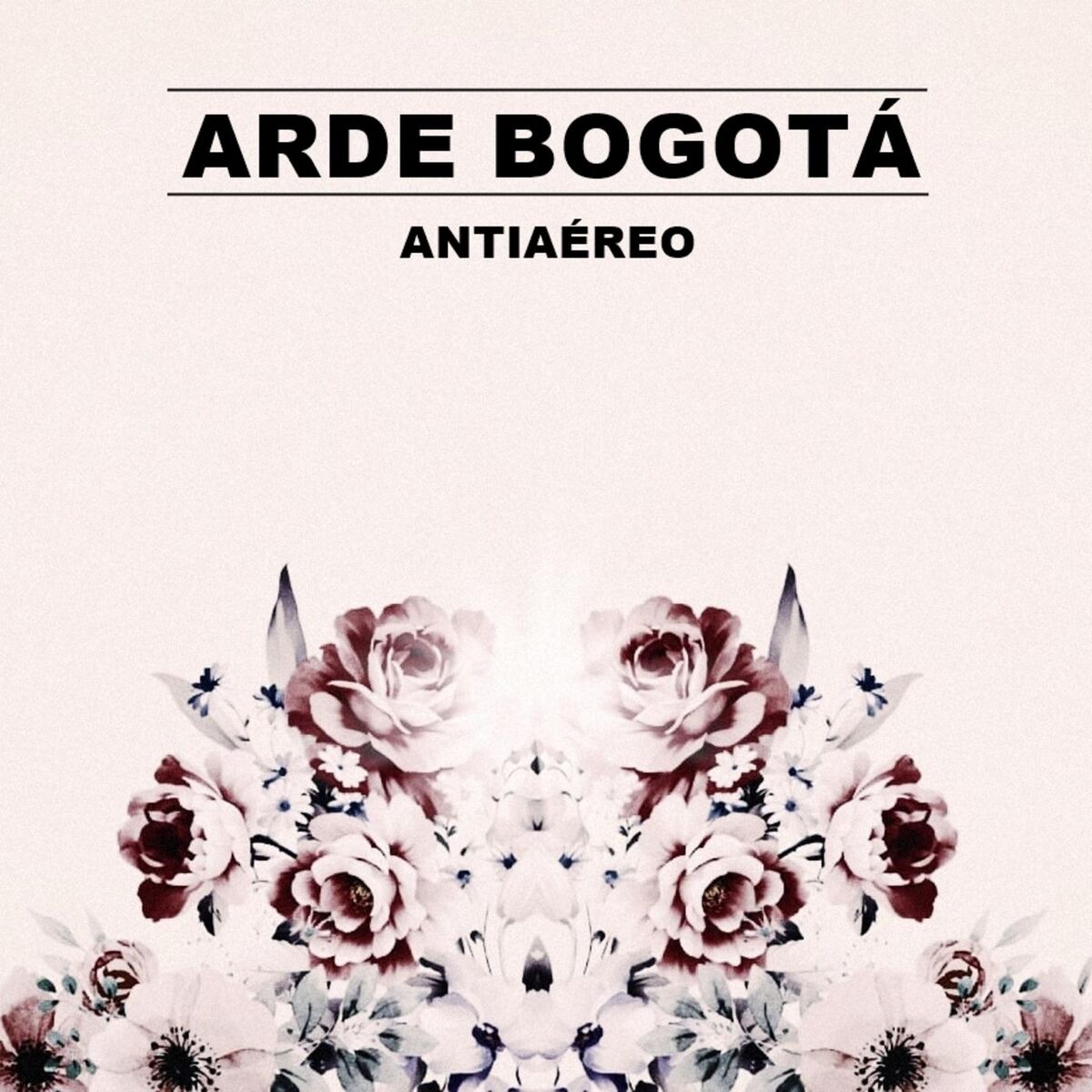 Album cover of Antiaéreo