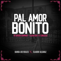 Cover of Pal Amor Bonito