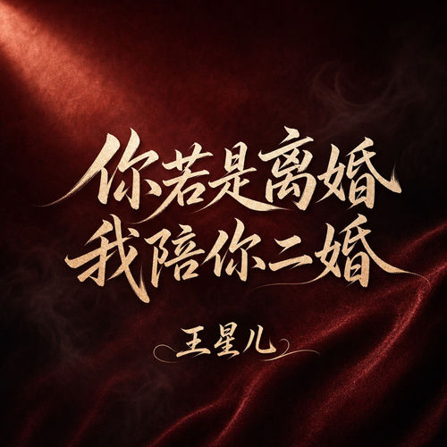 你若是离婚 我陪你二婚