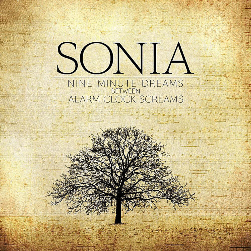 Picture of Nine Minute Dreams