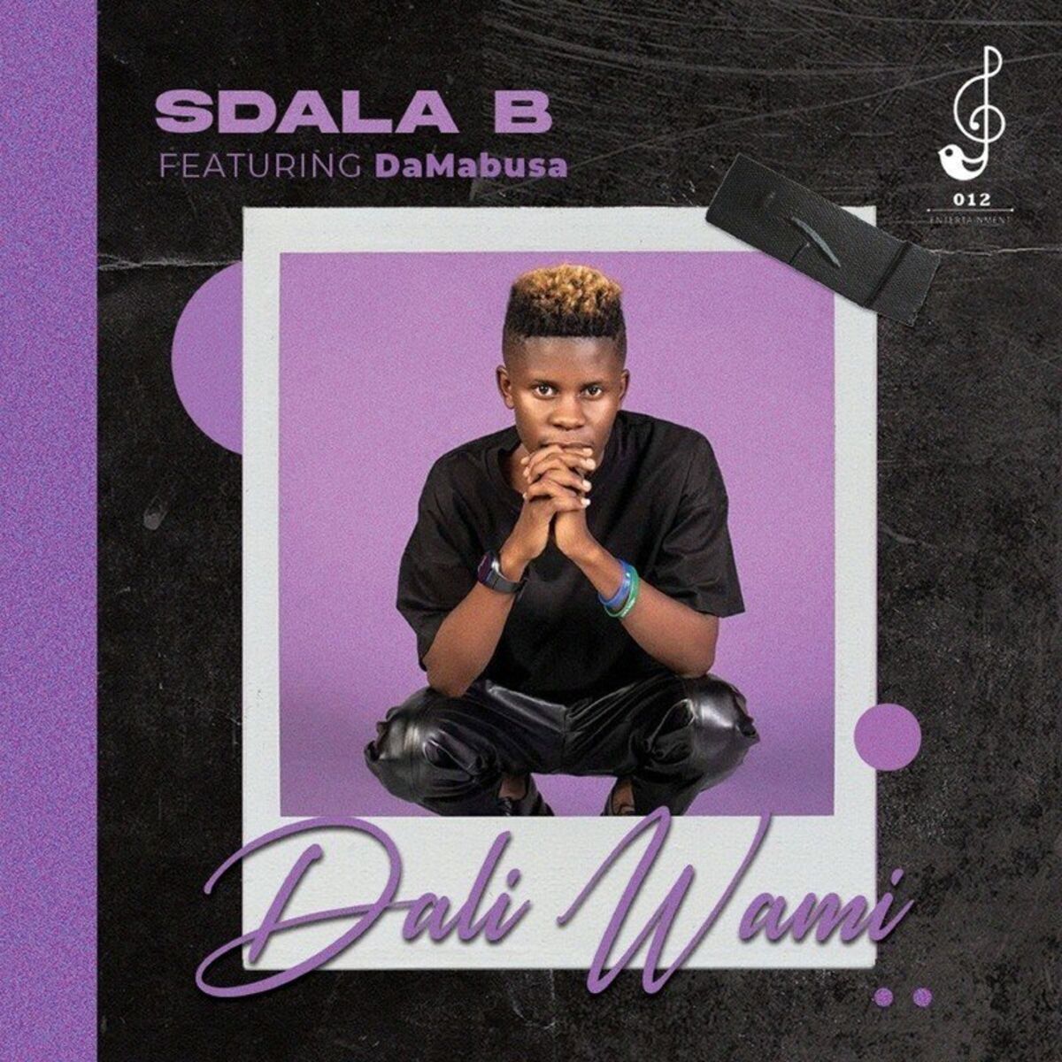 Album cover of Dali Wami
