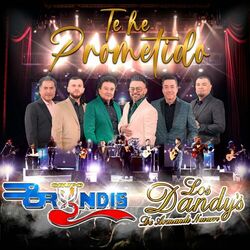 Cover of Te He Prometido (feat. Los Dandys De Armando Navarro) [Desde el Teatro Metropólitan]