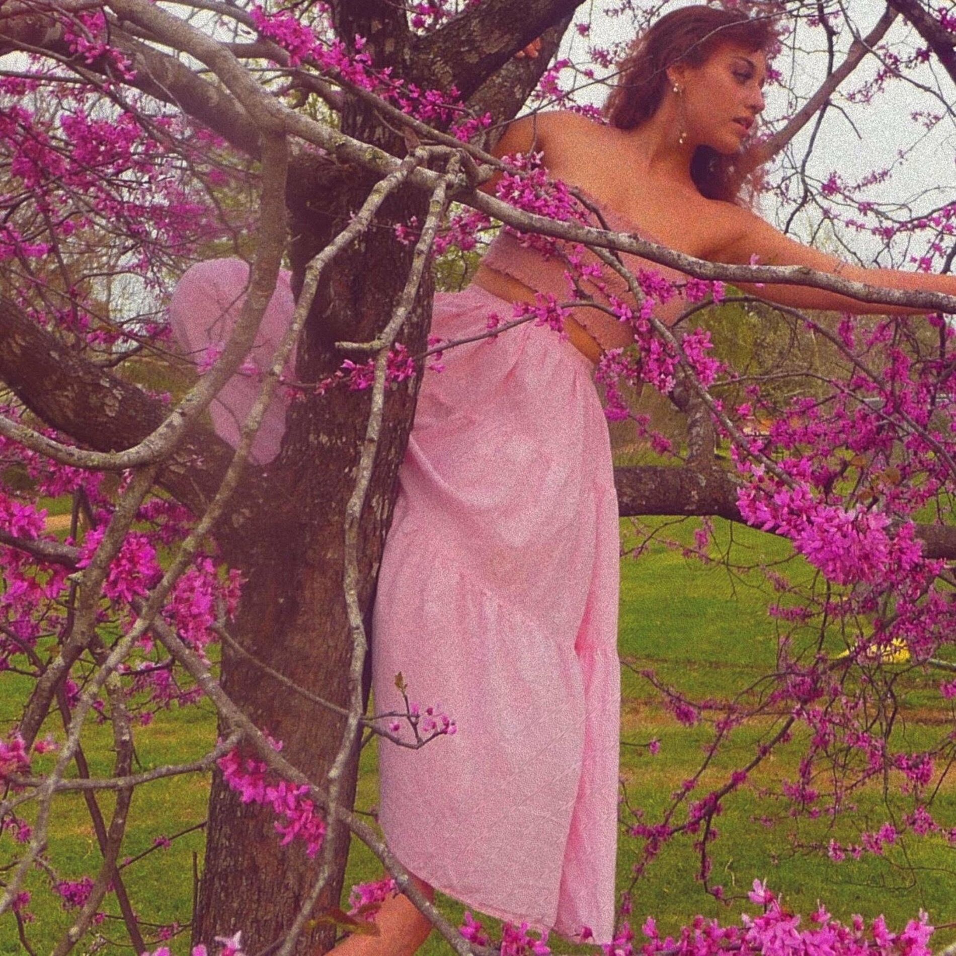 Album cover of Butterfly's Repose