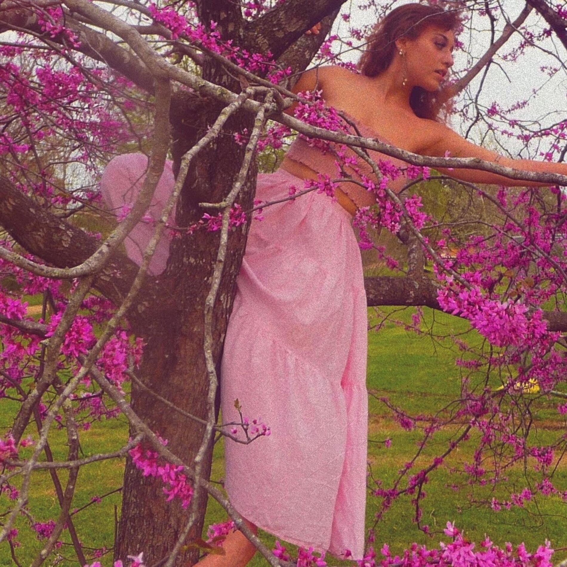 Album cover of Butterfly's Repose