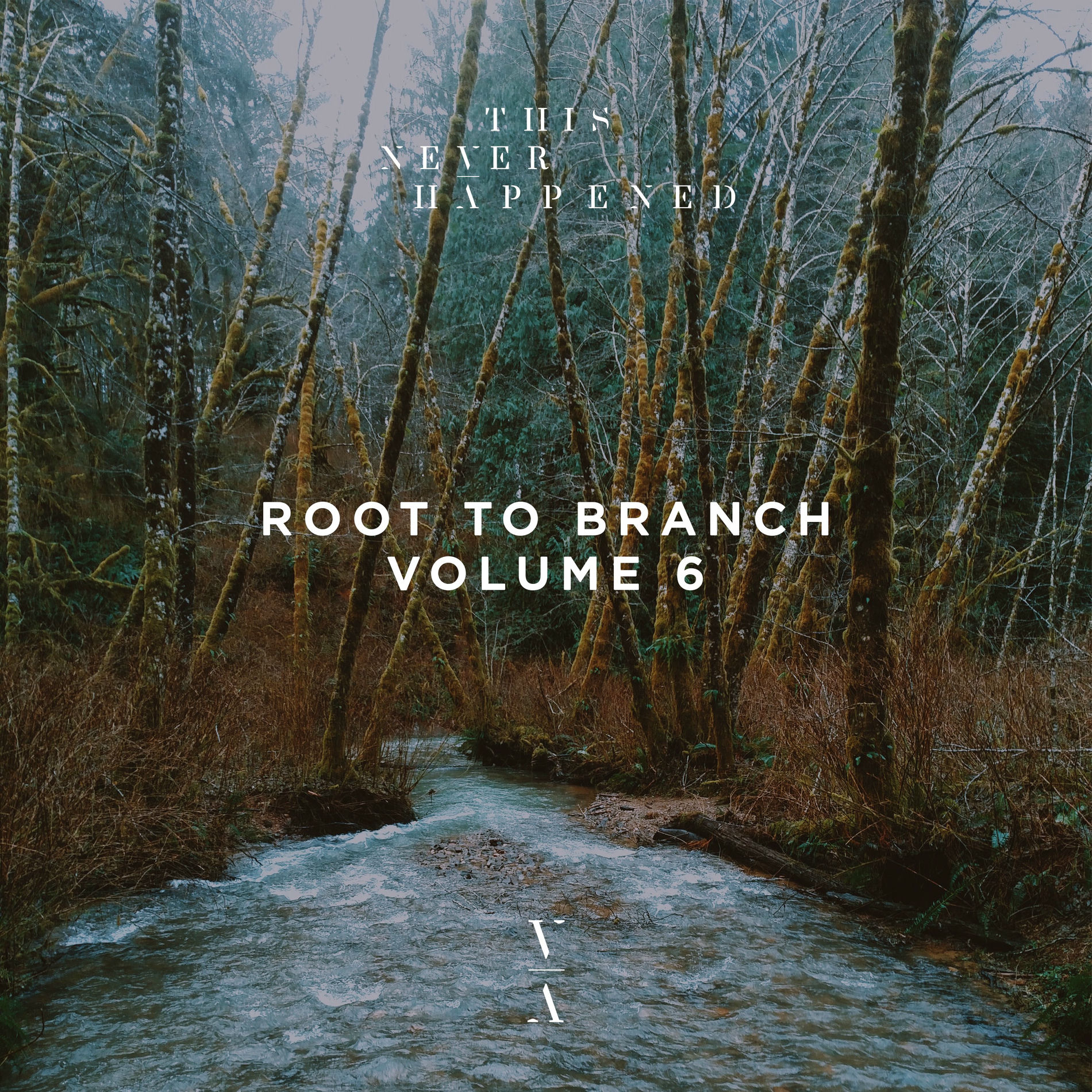 Album cover of Root to Branch, Vol. 6