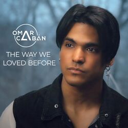 Cover of The Way We Loved Before