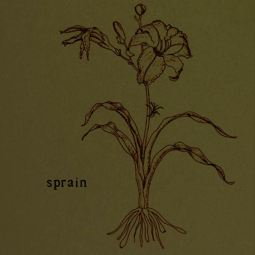 Picture of Sprain