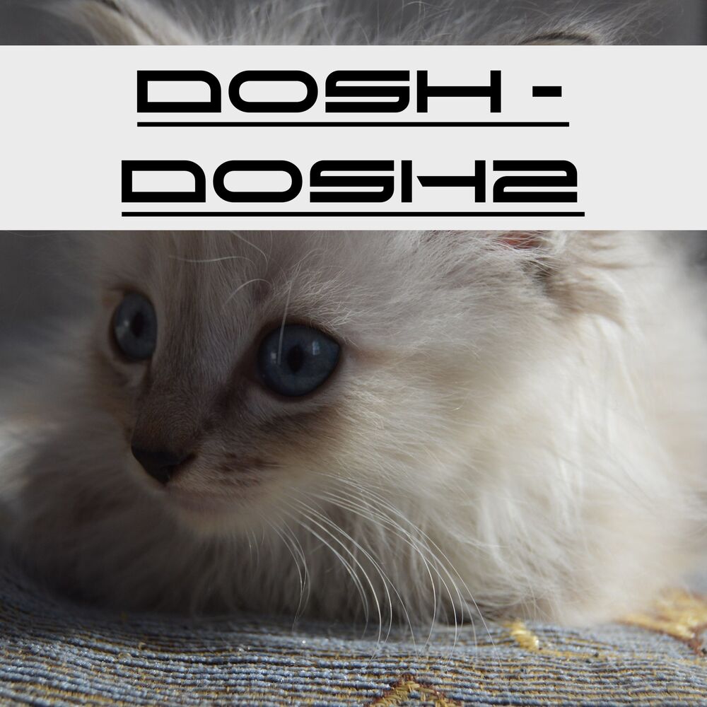 Picture of Dosh2