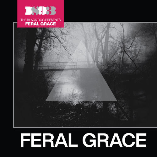 Feral Grace artwork
