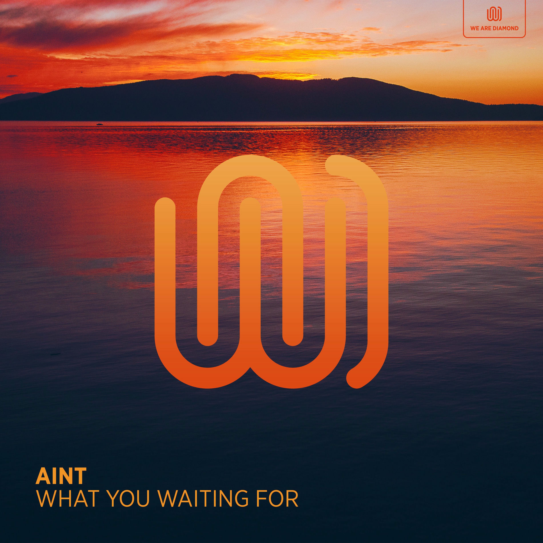 Album cover of What You Waiting For