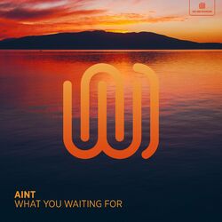 Cover of What You Waiting For