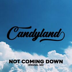 Cover of Not Coming Down