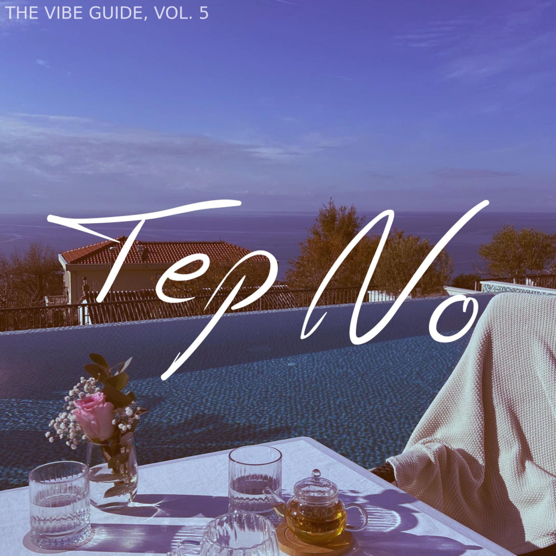 Album cover of The Vibe Guide, Vol. 5