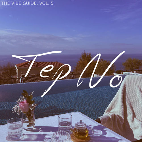 The Vibe Guide, Vol. 5