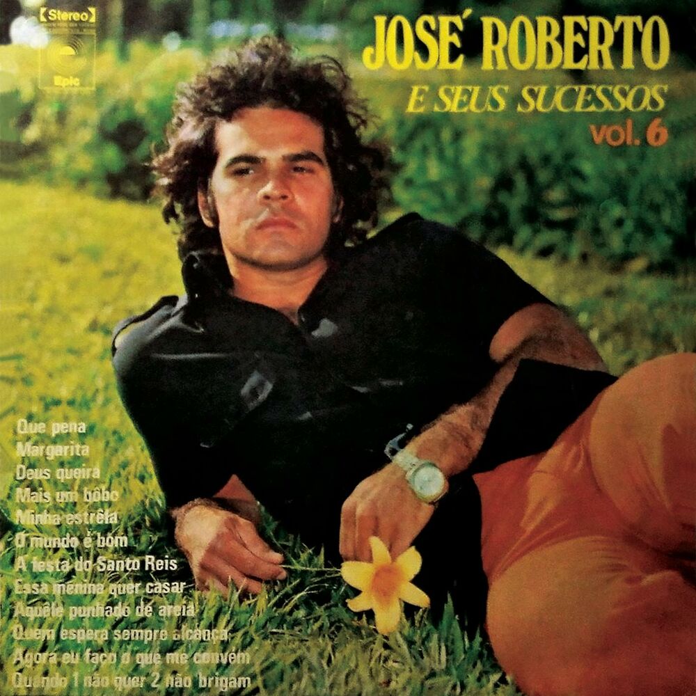 Picture of José Roberto e Seus Sucessos, Vol. 6