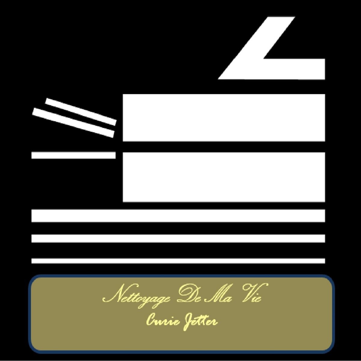 Album cover of Nettoyage De Ma Vie