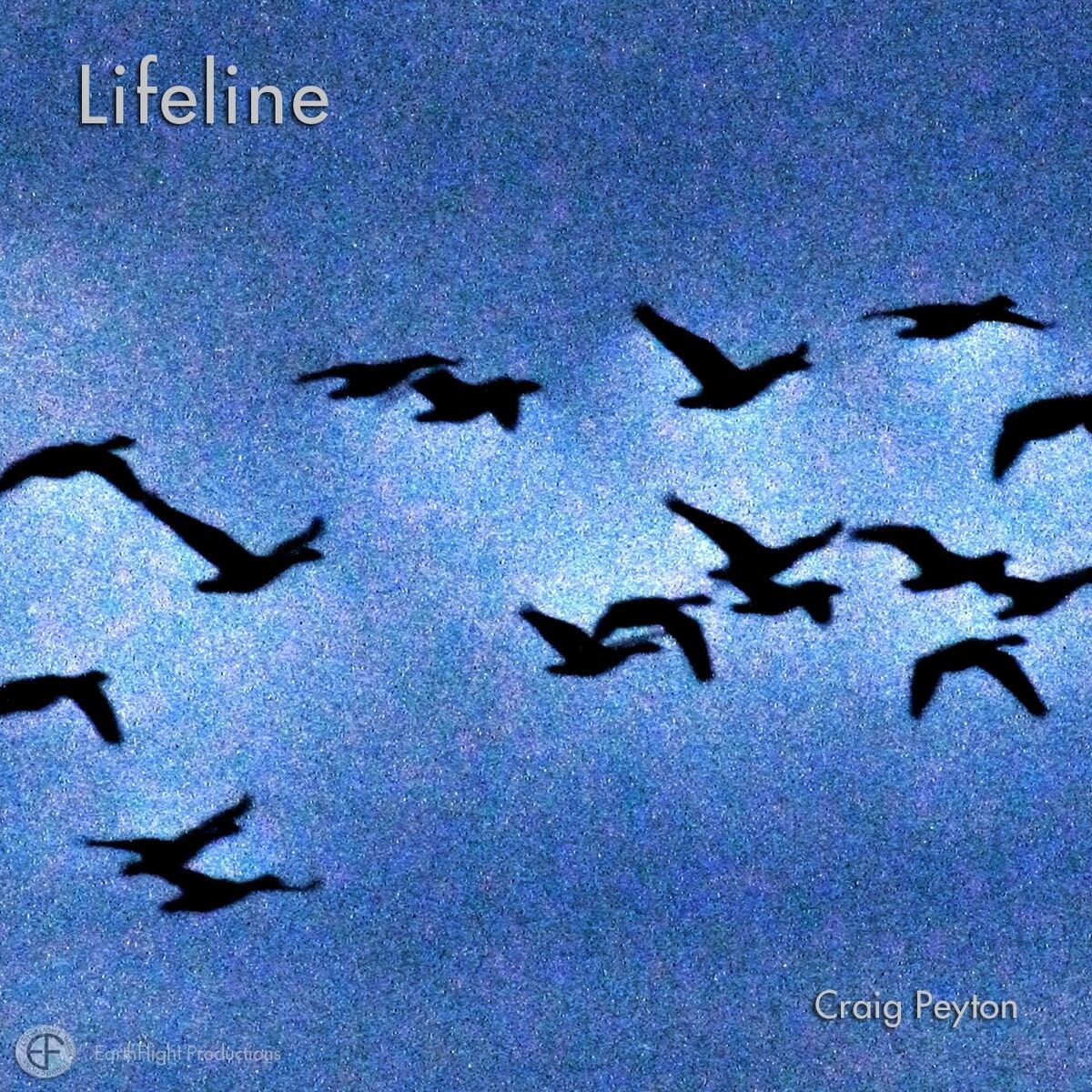 Album cover of Lifeline