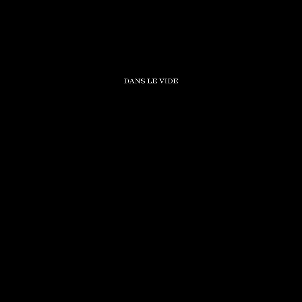 Picture of DANS LE VIDE