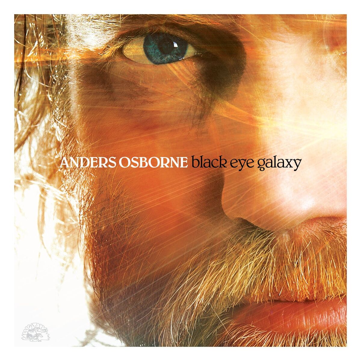 Album cover of Black Eye Galaxy