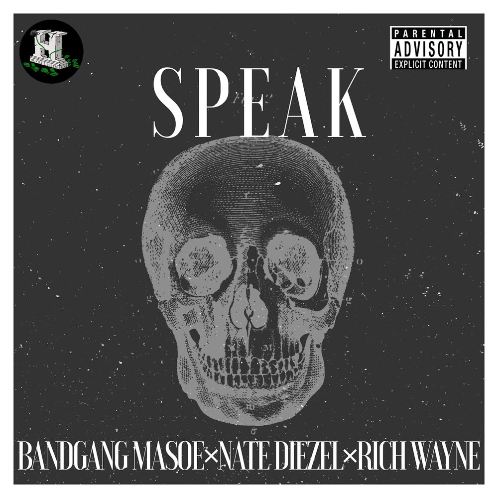 Picture of Speak