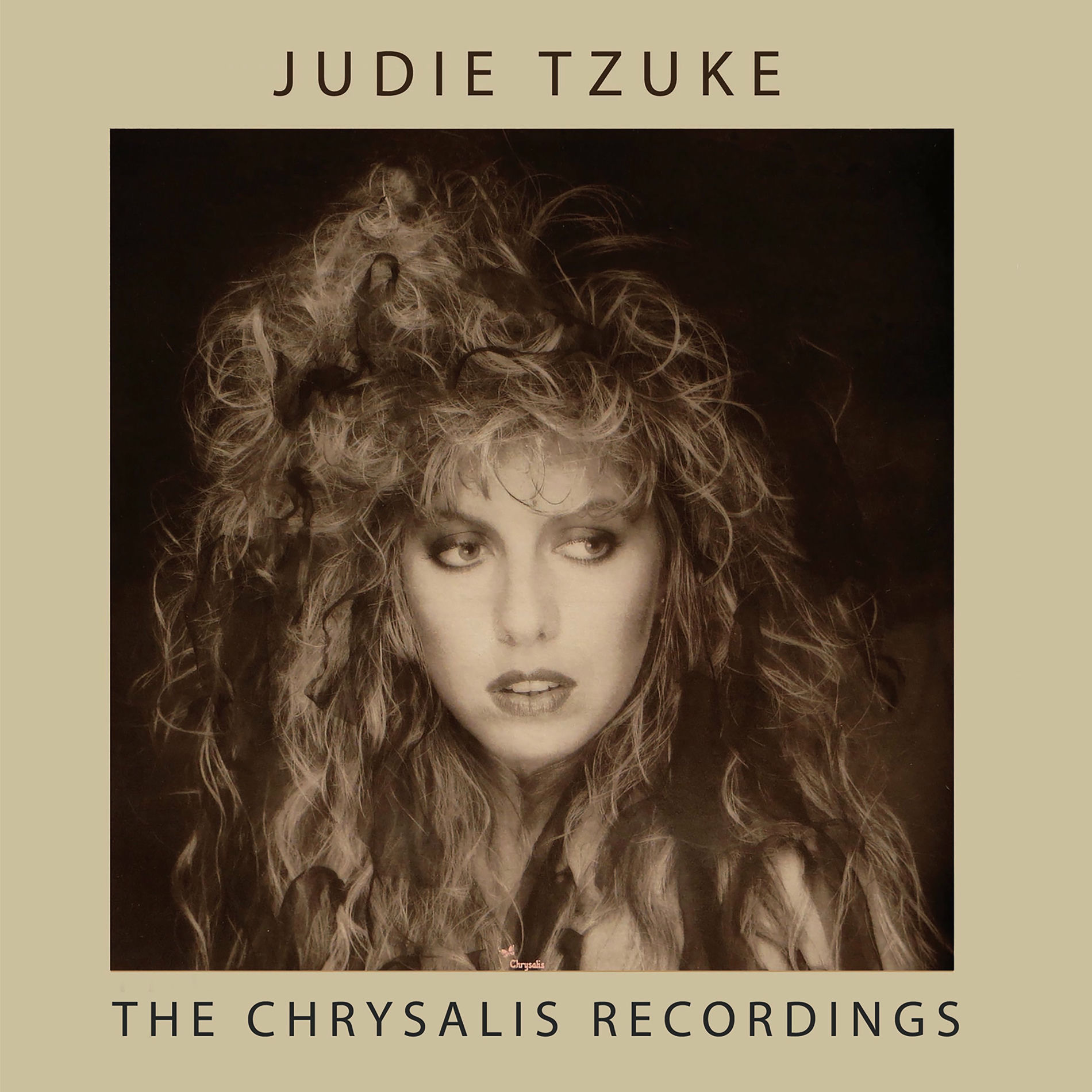 Album cover of The Chrysalis Recordings