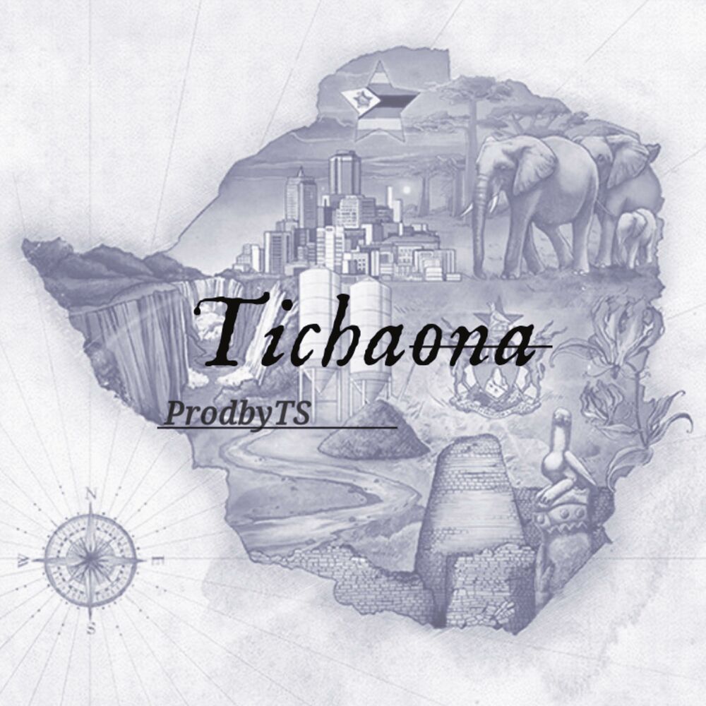 Picture of Tichaona