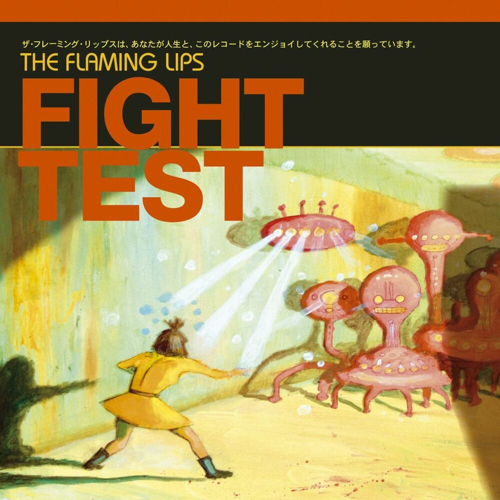 Picture of Fight Test