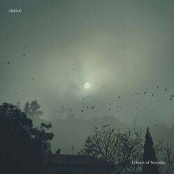 Cover of Echoes of Serenity