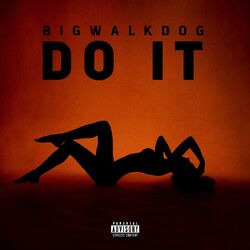 Cover of Do It