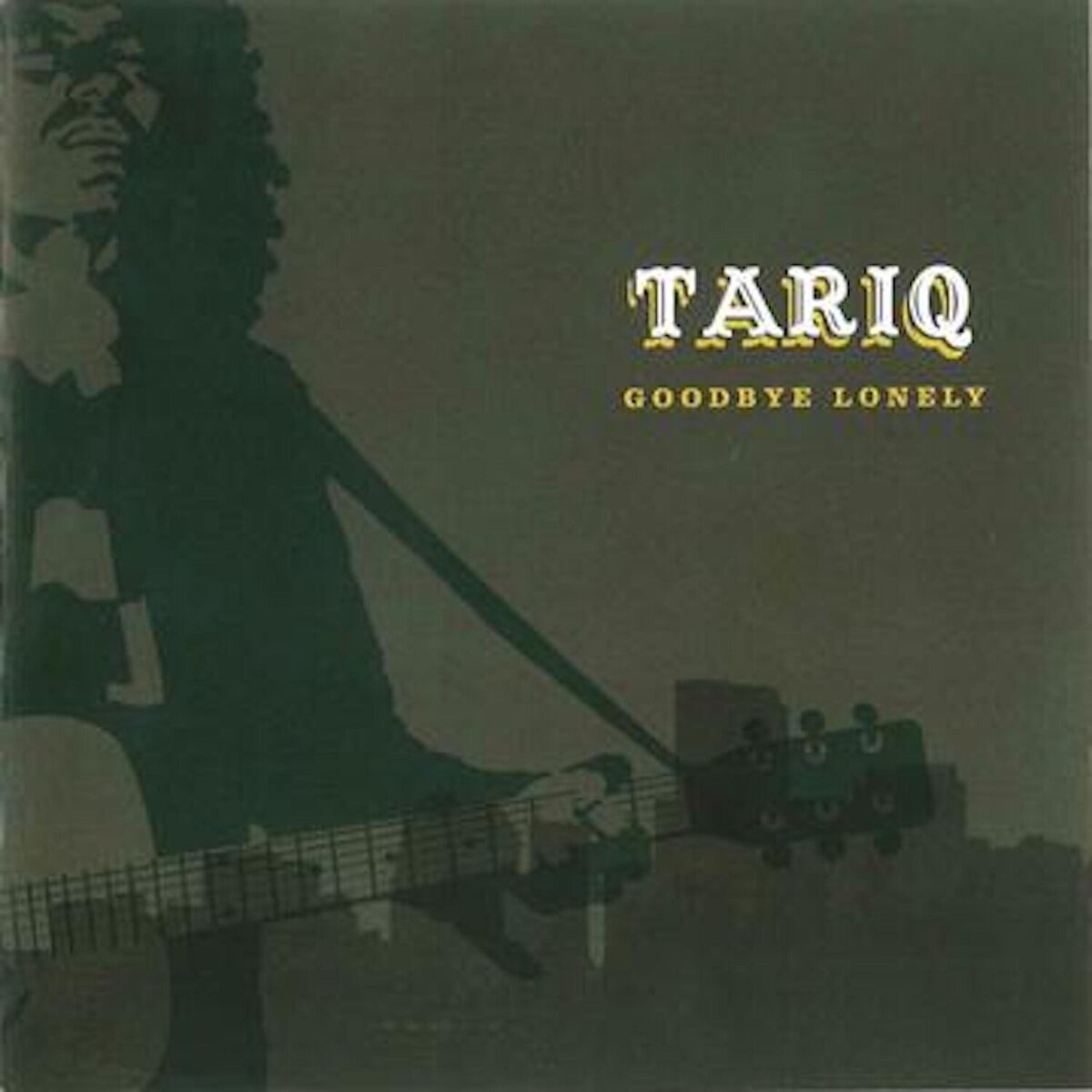 Album cover of Goodbye Lonely