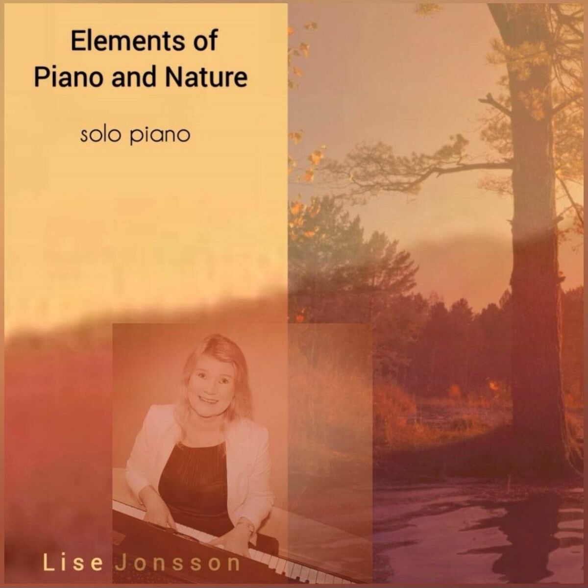 Album cover of Elements of Piano and Nature (Solo Piano Version)