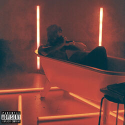 Cover of Man Down