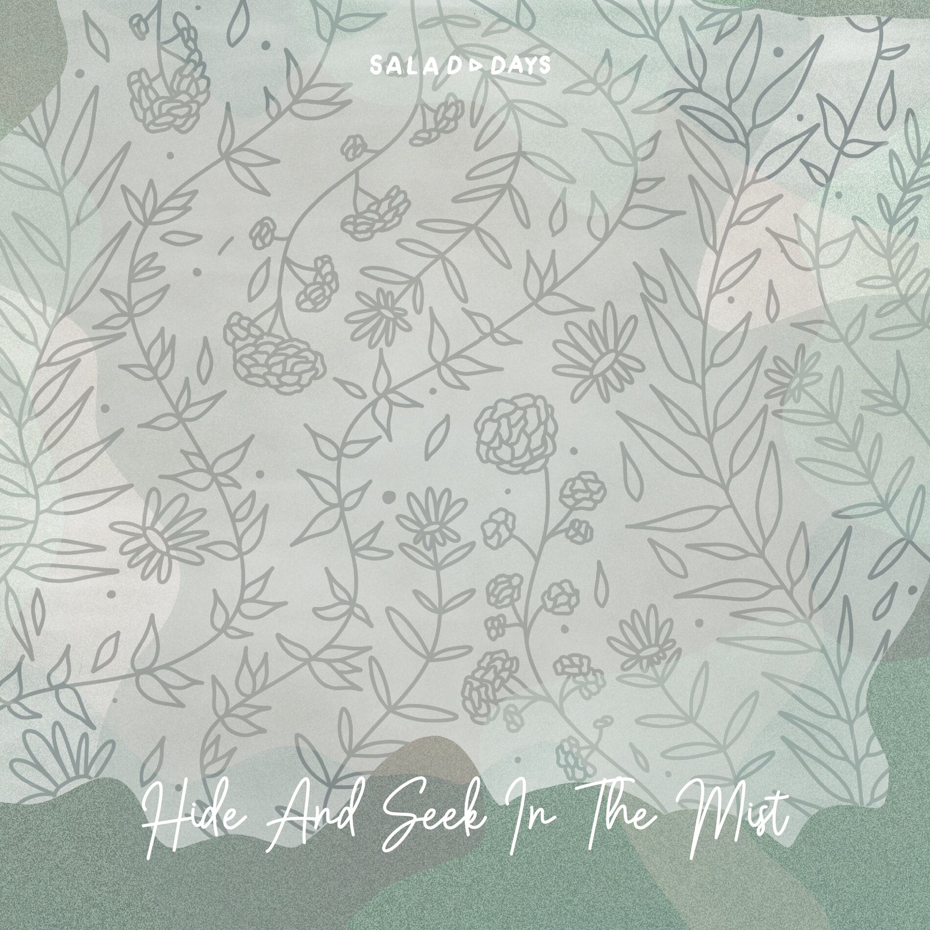 Album cover of Hide And Seek In The Mist