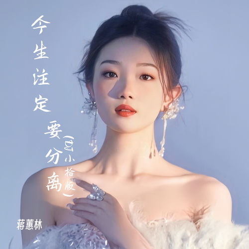 今生注定要分离 (Dj小拾版)
